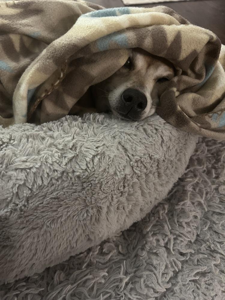 Marla — thumbnail 4