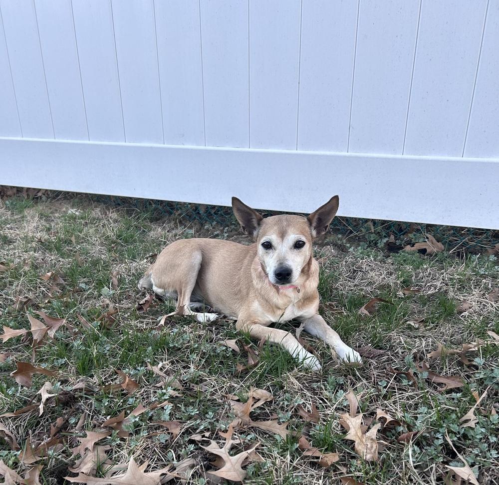 Marla — thumbnail 5