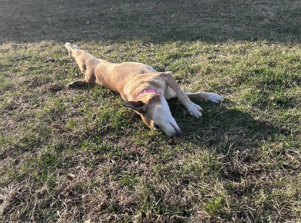 Marla — thumbnail 6