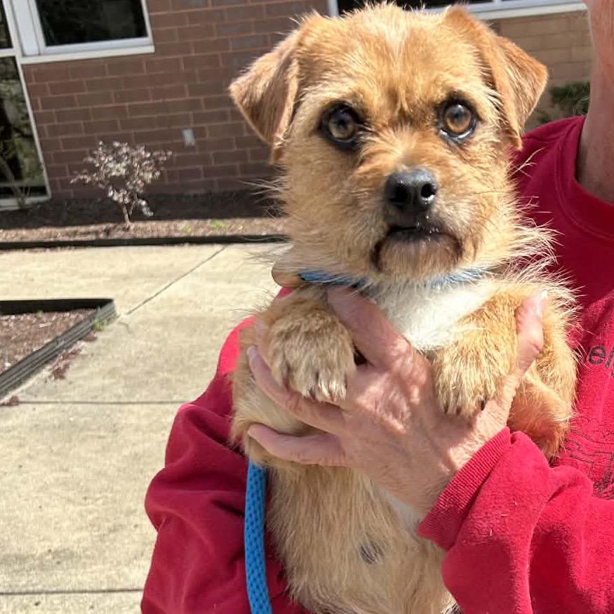 Tam 1736 — thumbnail 2