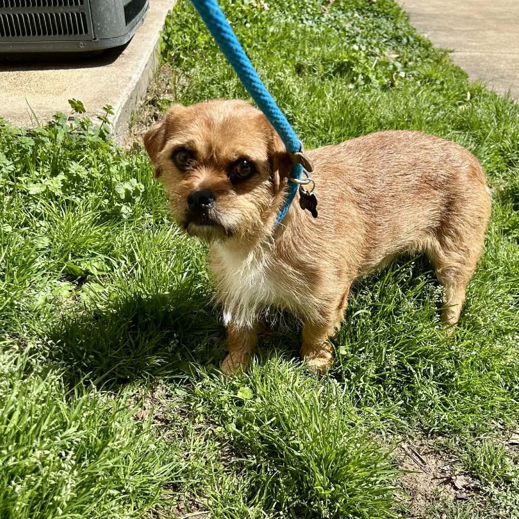 Tam 1736 — thumbnail 4