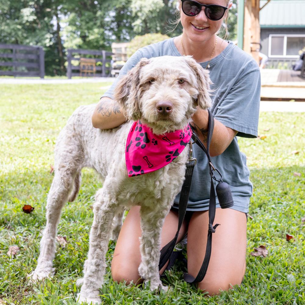 Maisy (Female) Available 8/23 Bonded pair with Lucy (her daughter)