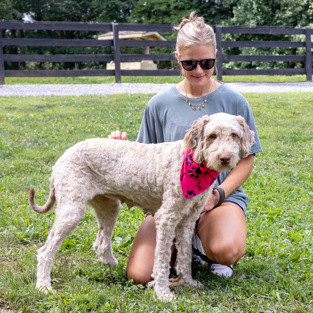 Maisy (Female) Available 8/23 Bonded pair with Lucy (her daughter)