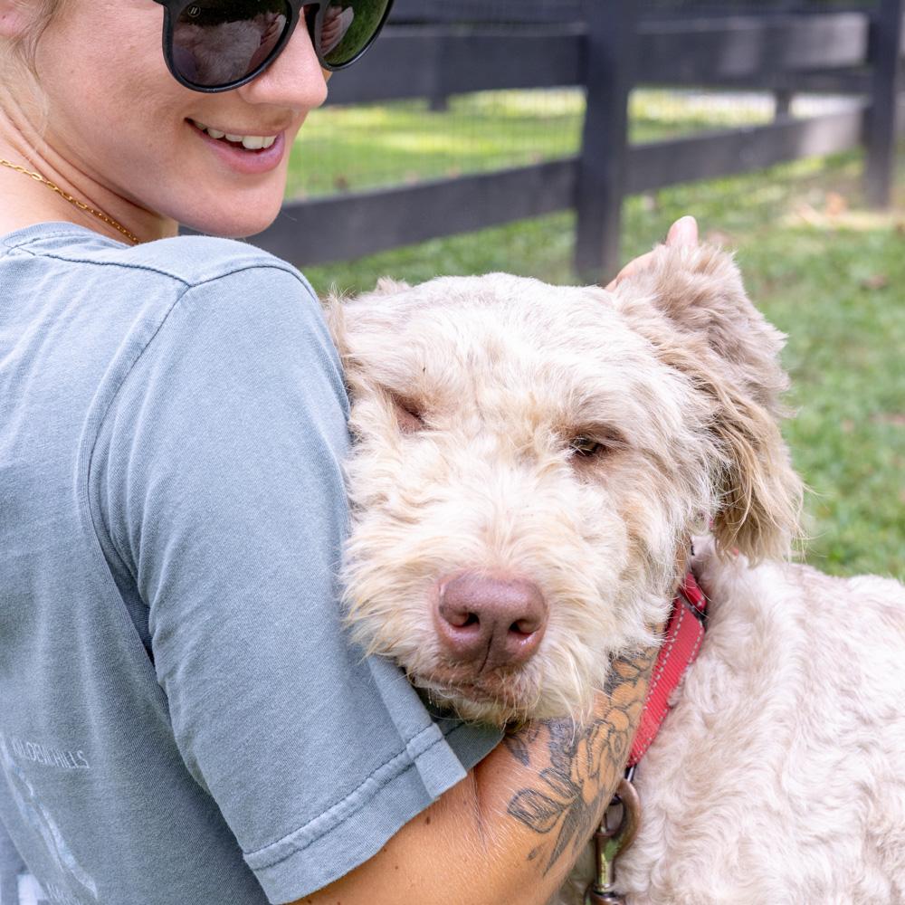 Maisy (Female) Available 8/23 Bonded pair with Lucy (her daughter)