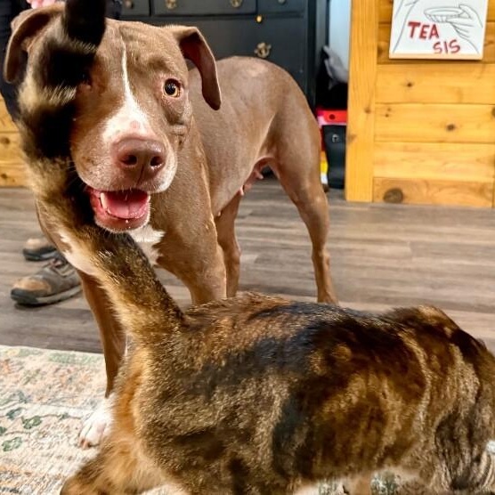 Beso Kissy Kissy Sweetheart!