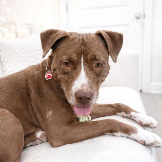 Beso Kissy Kissy Sweetheart! — thumbnail 3