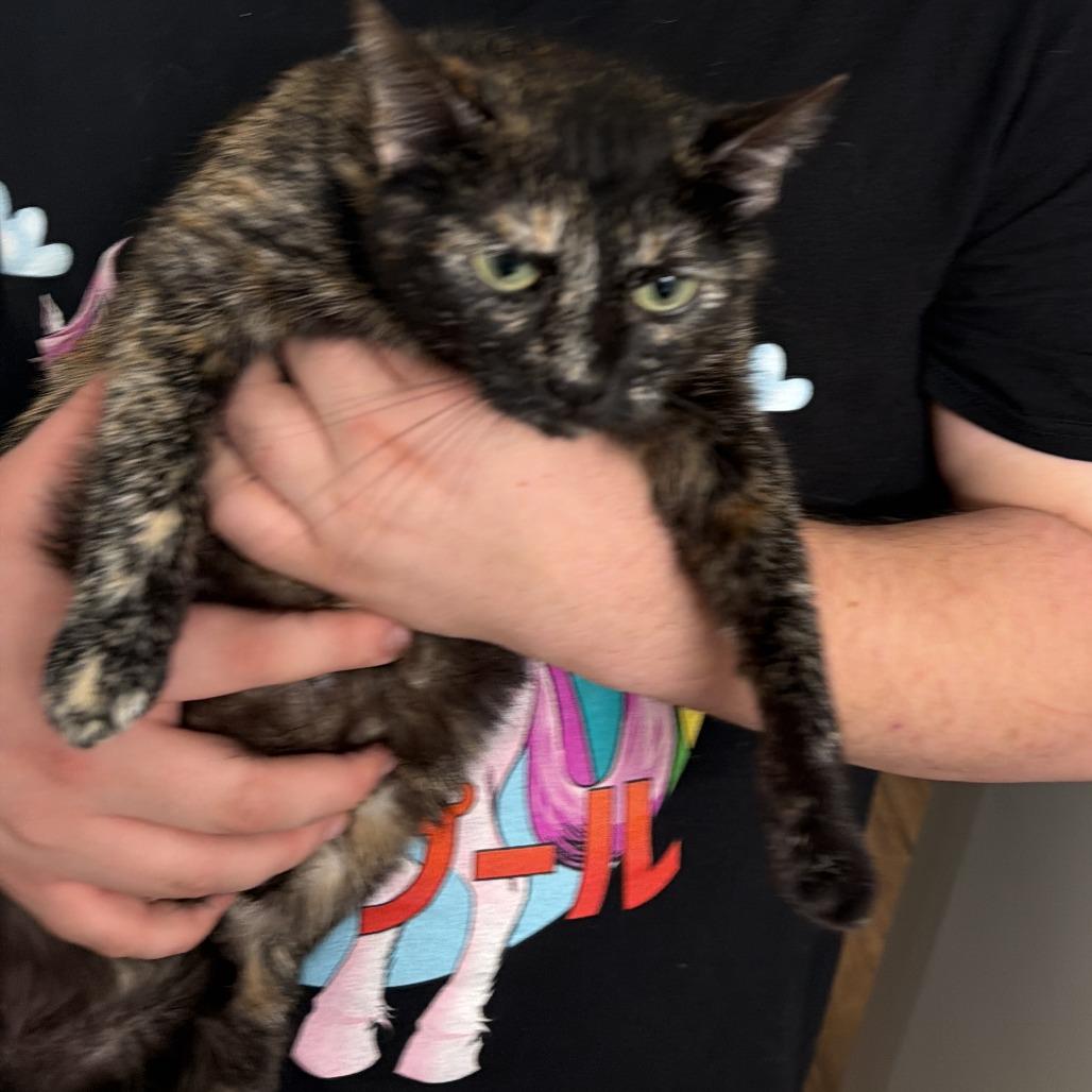 Sara — thumbnail 2