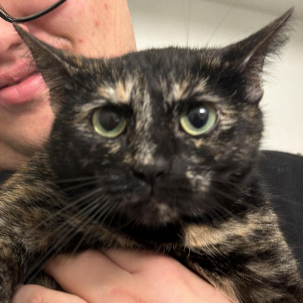 Sara — thumbnail 3