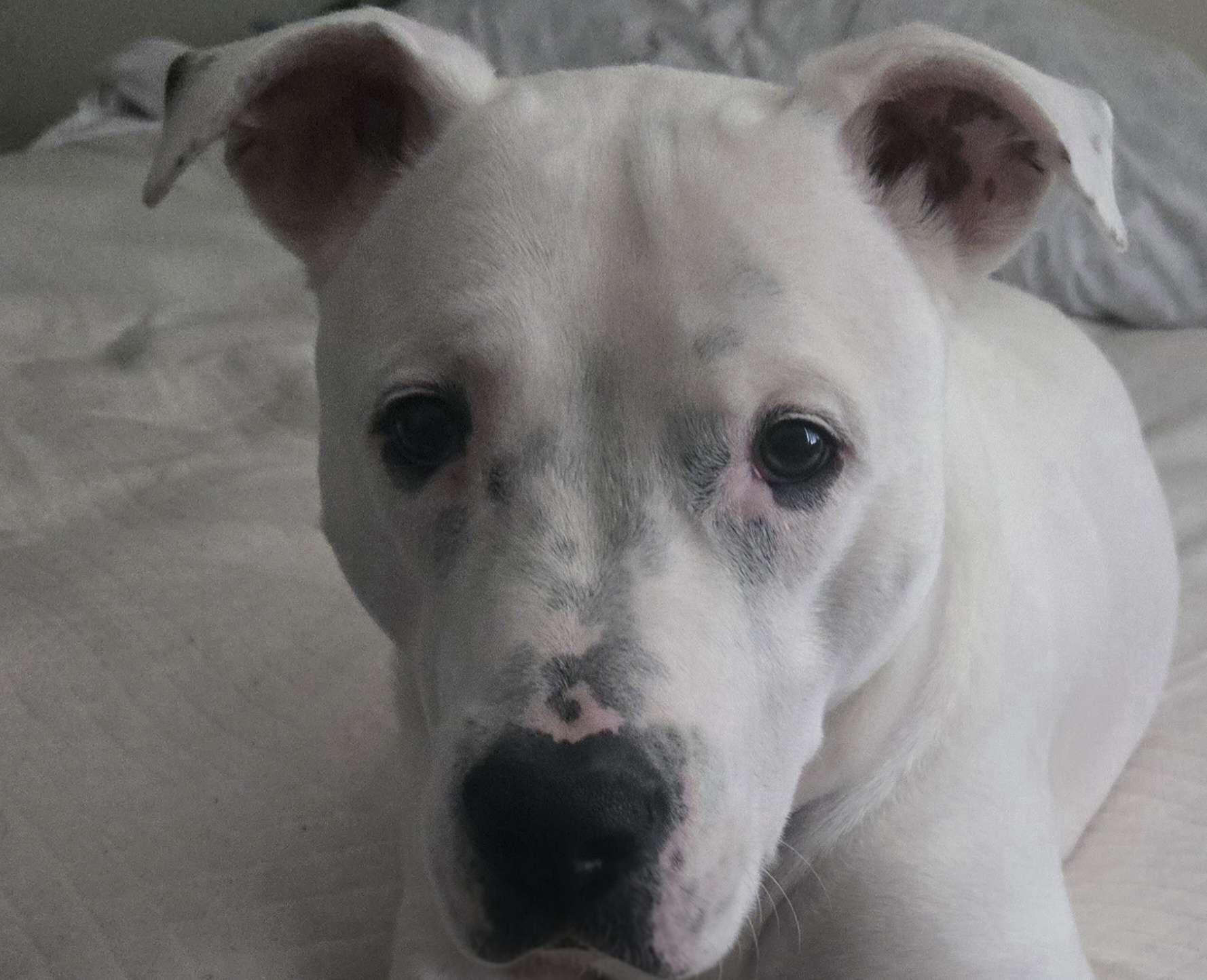 **COURTESY LISTING** Speck