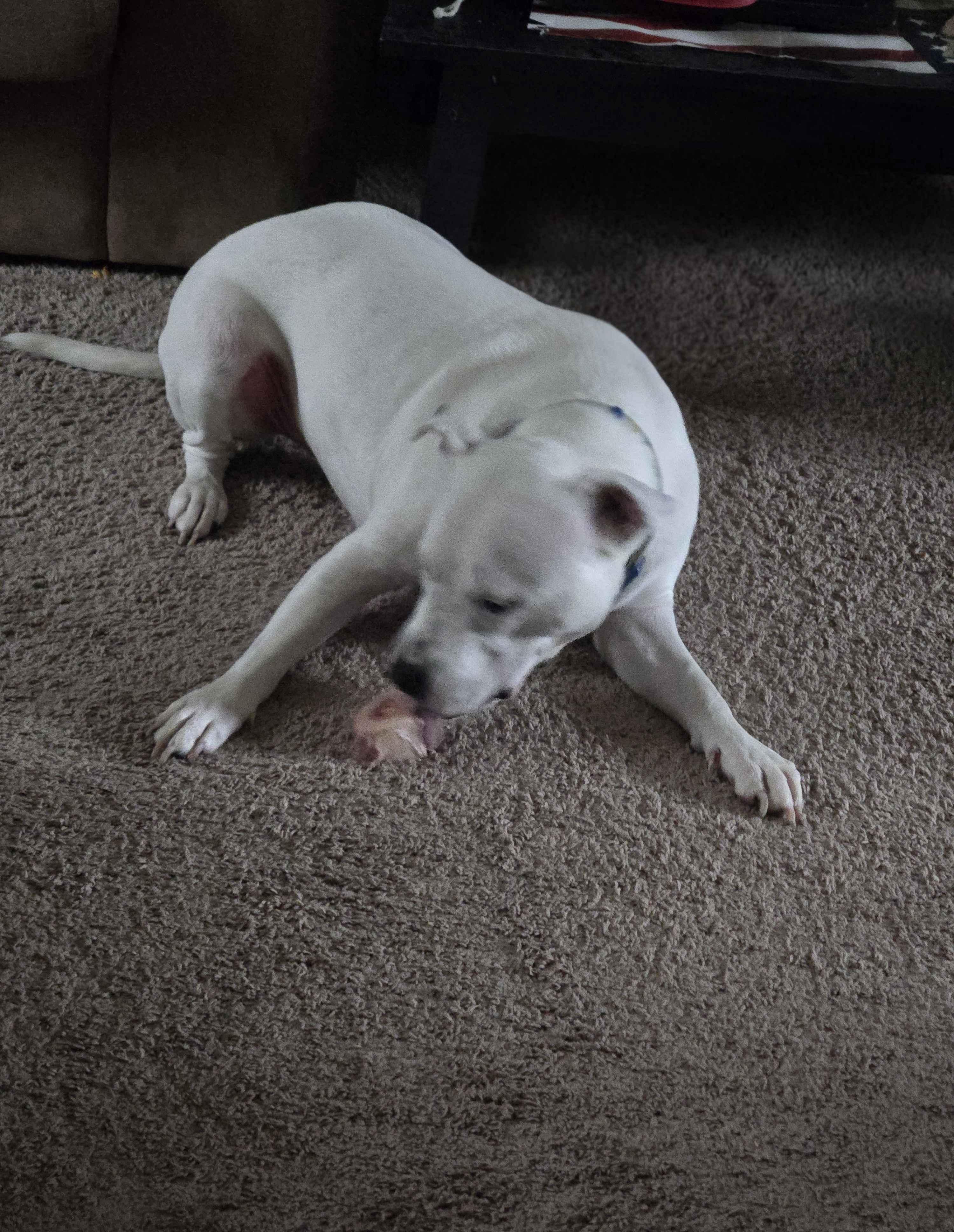 **COURTESY LISTING** Speck