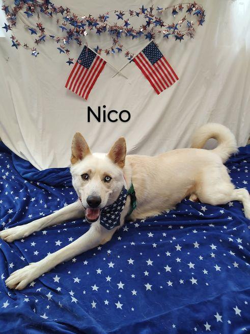 Nico