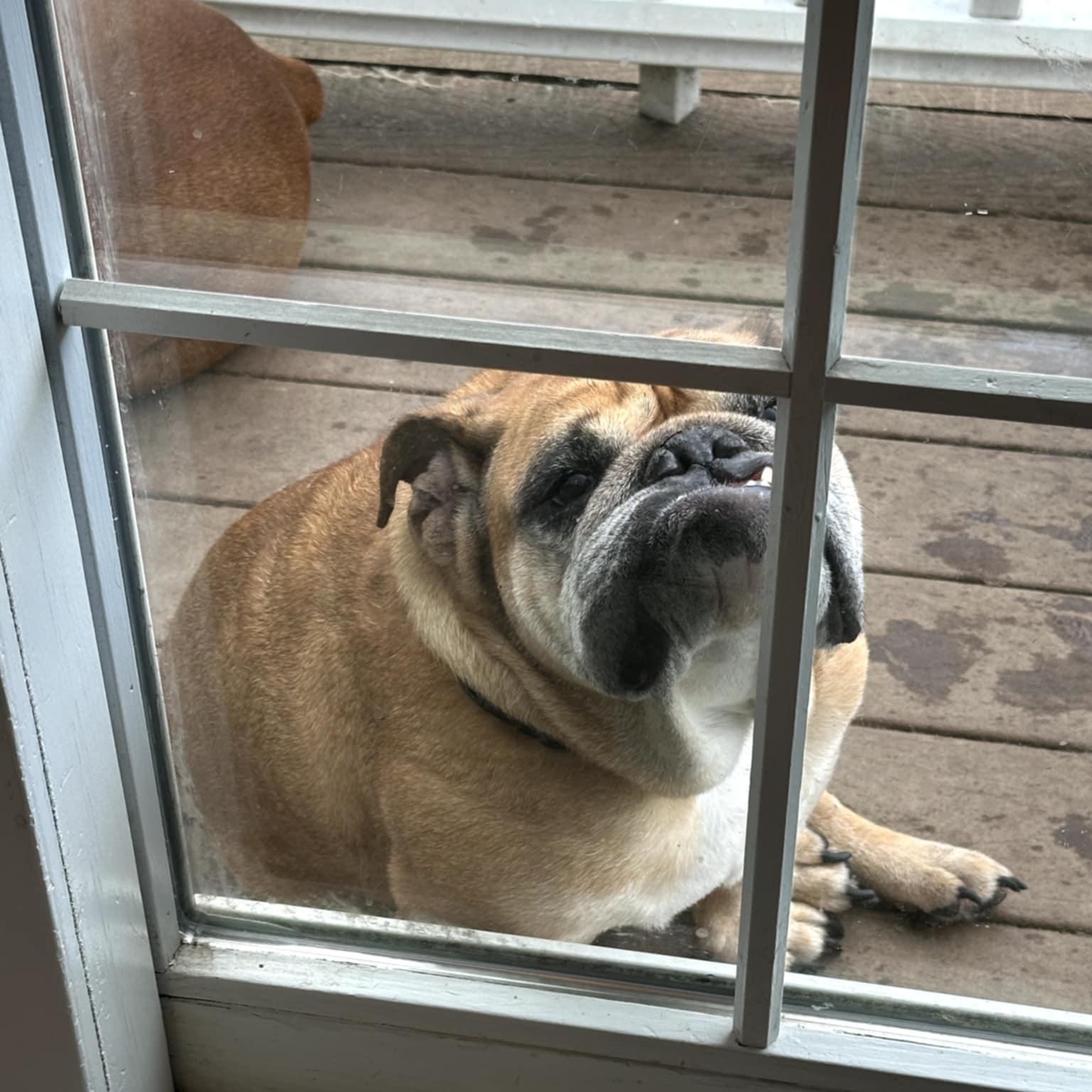 Gracie