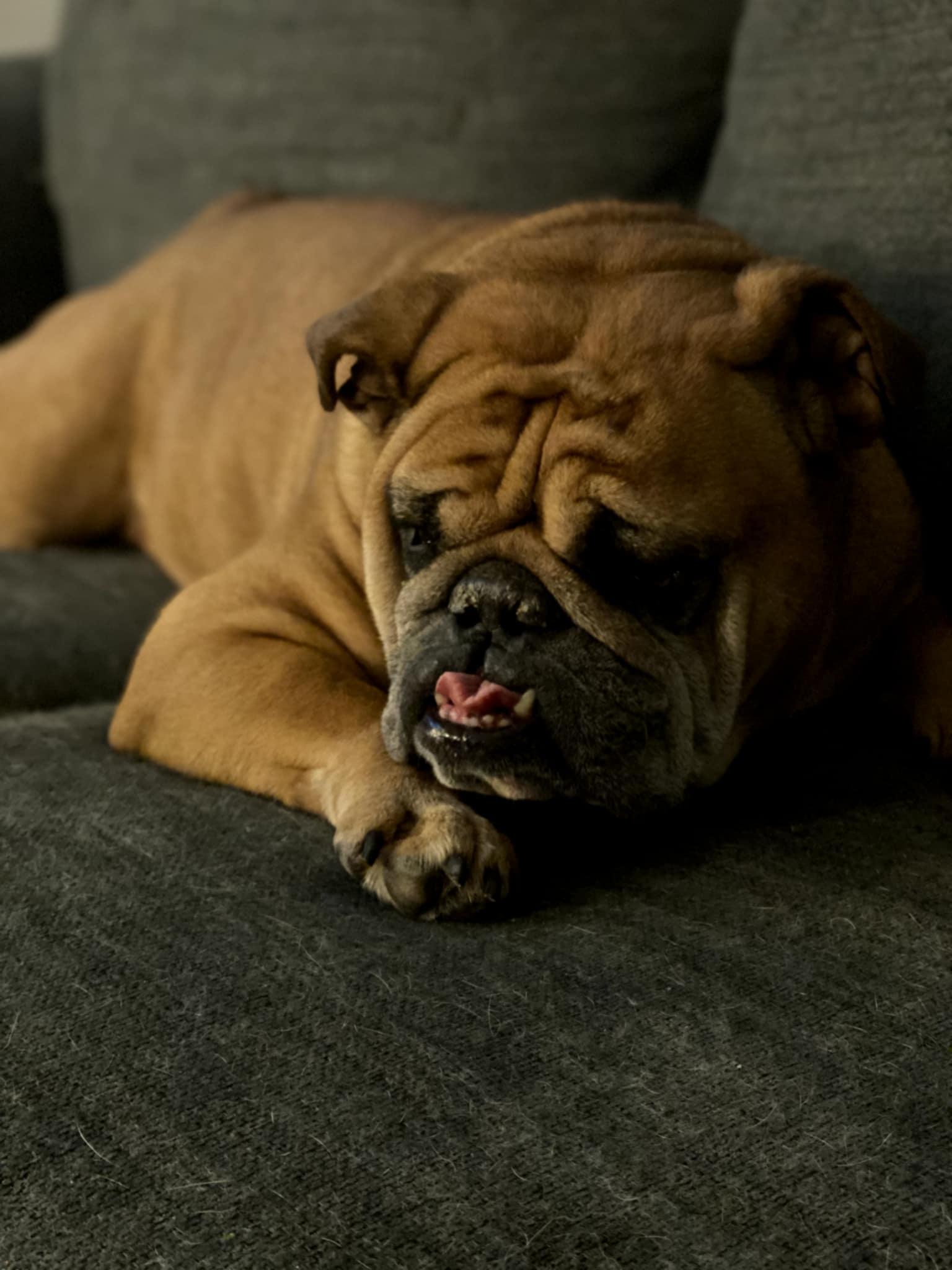 Gracie