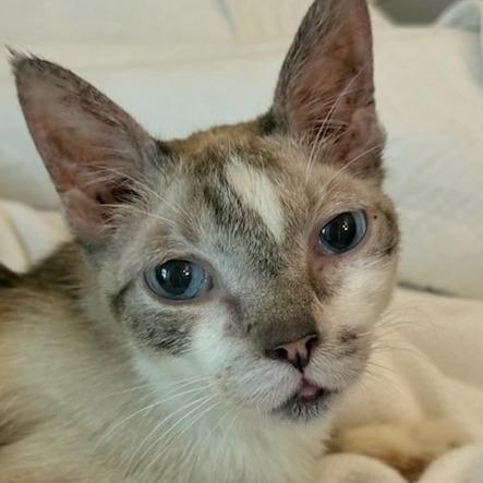 Mr. Peabody — thumbnail 3