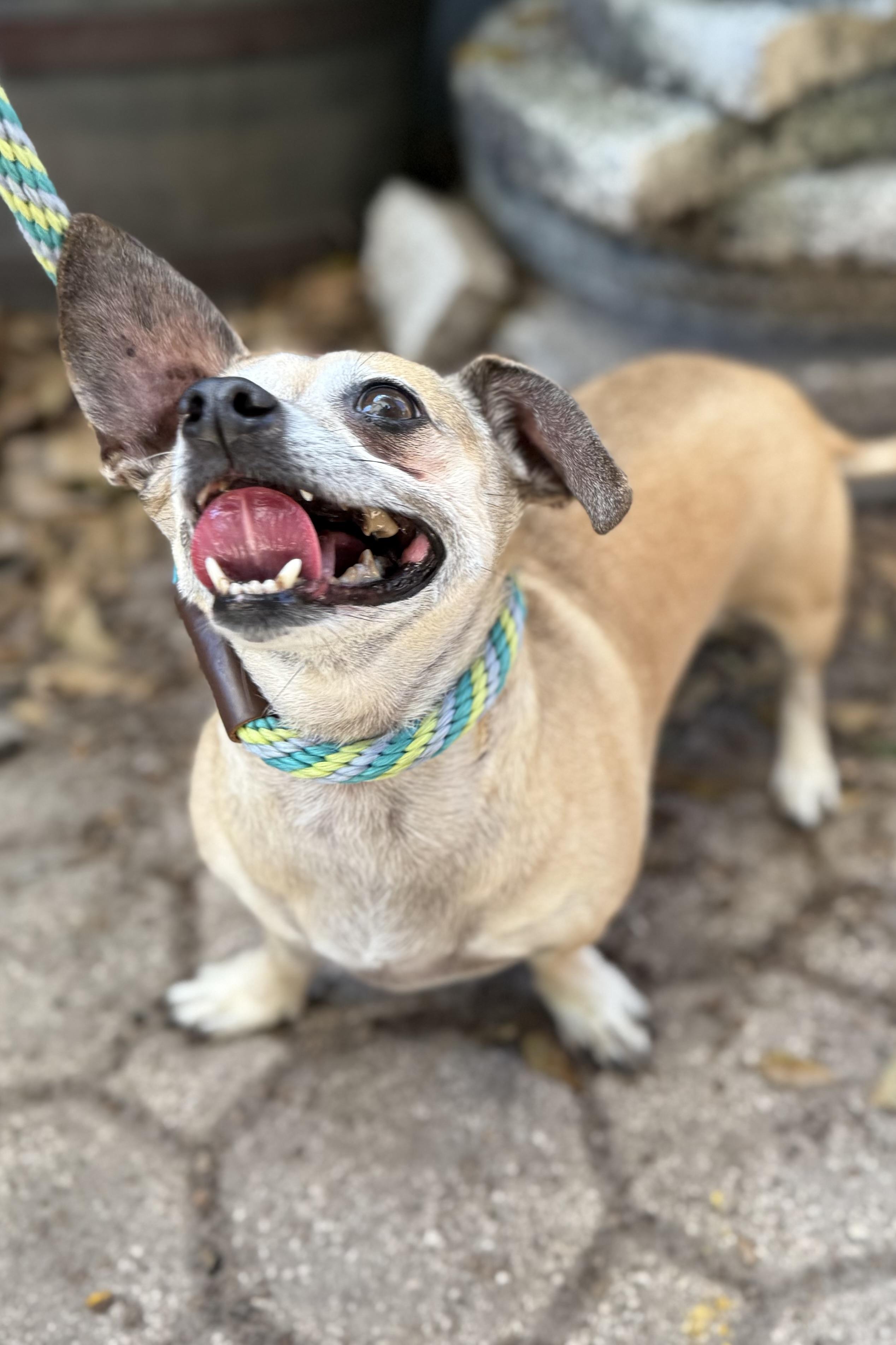 Mia & Gia thumbnail 2