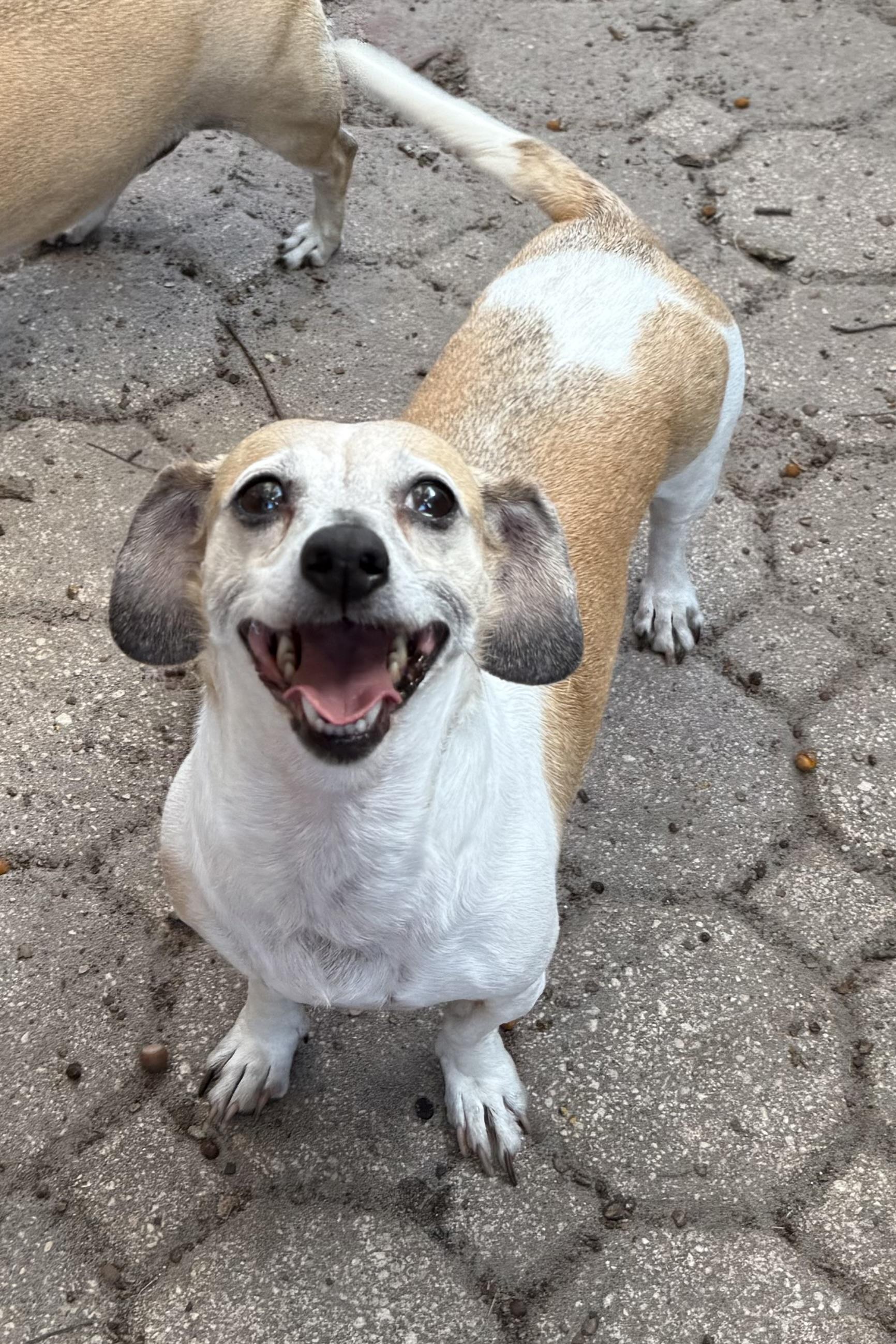 Mia & Gia thumbnail 3