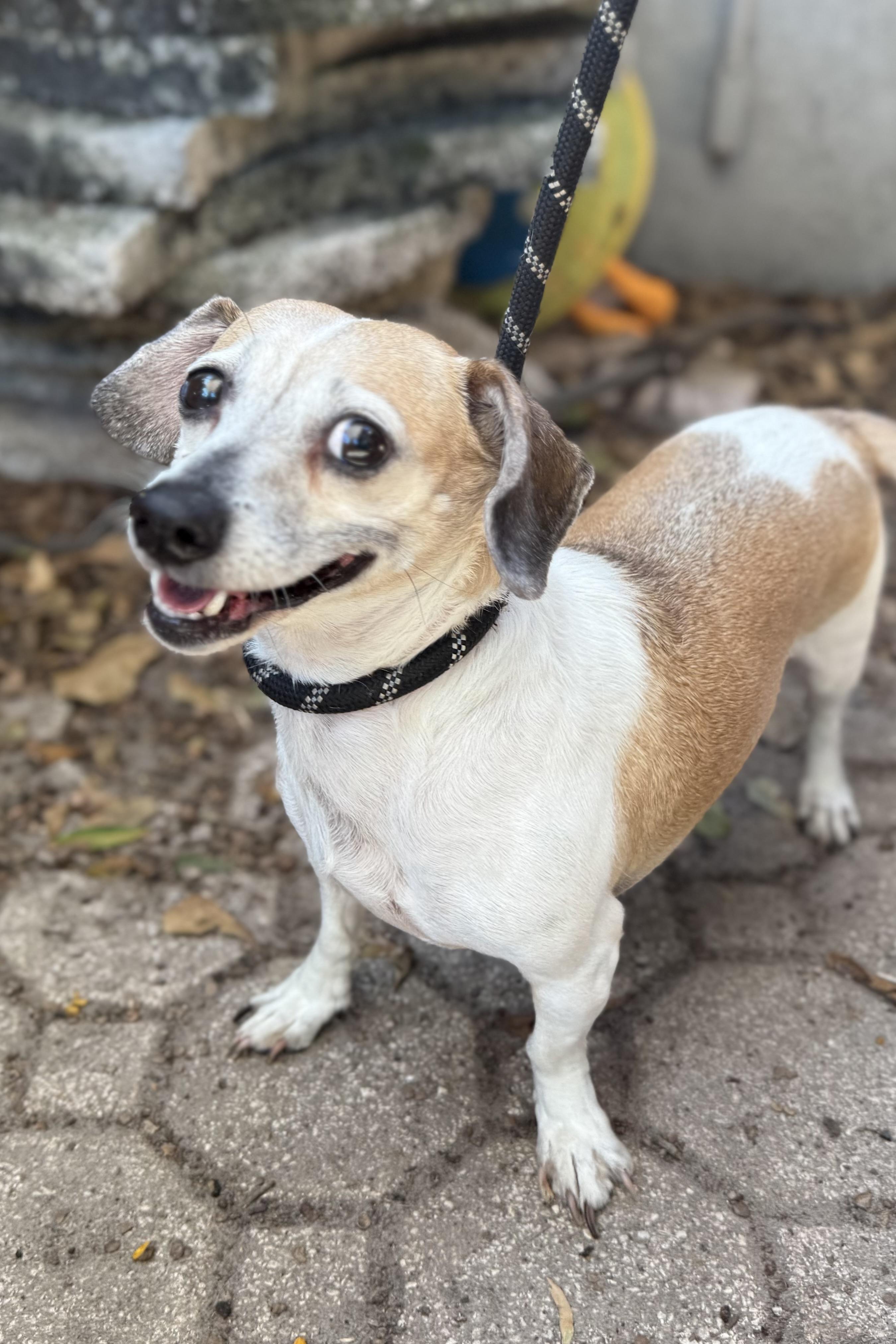 Mia & Gia thumbnail 4