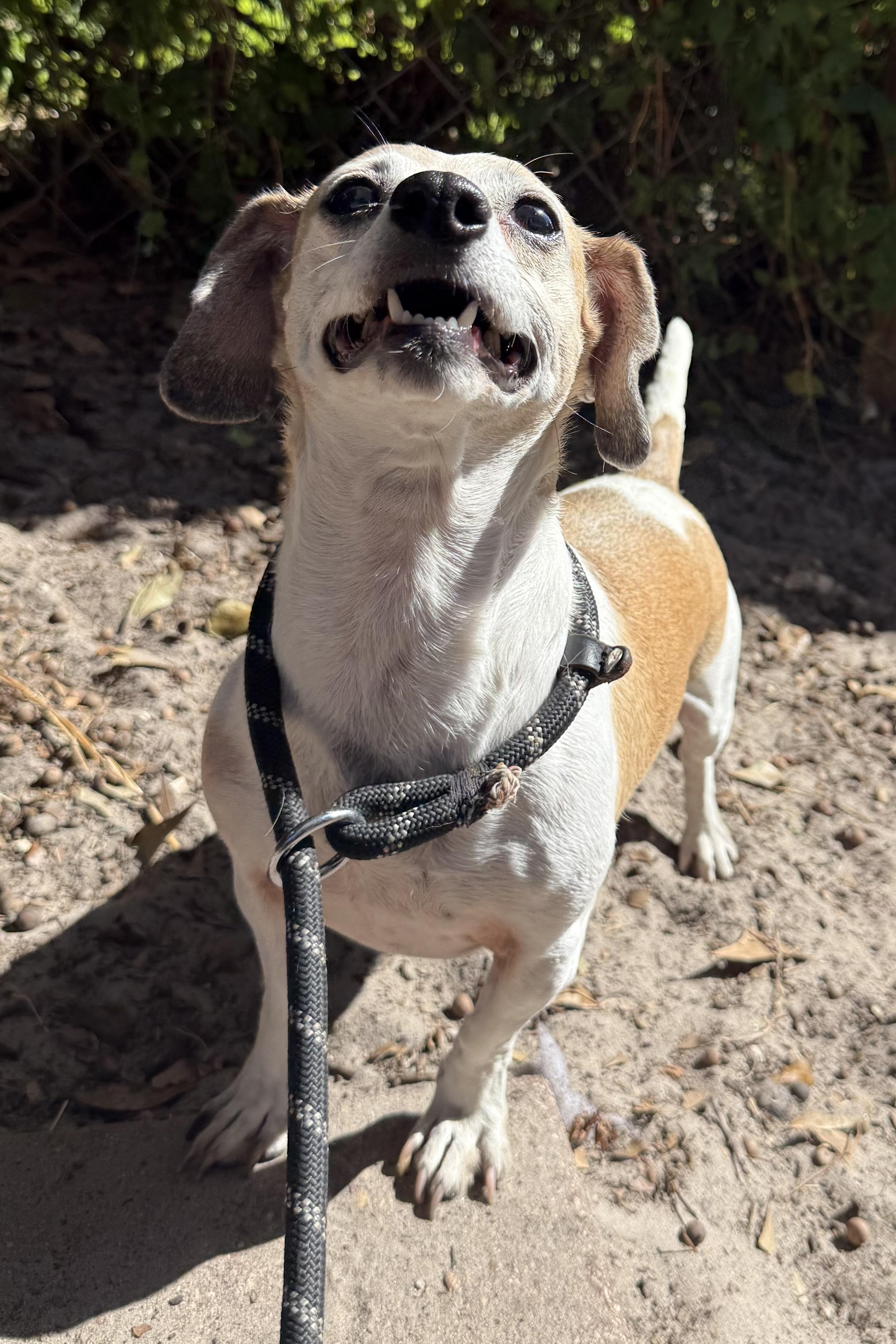 Mia & Gia thumbnail 5