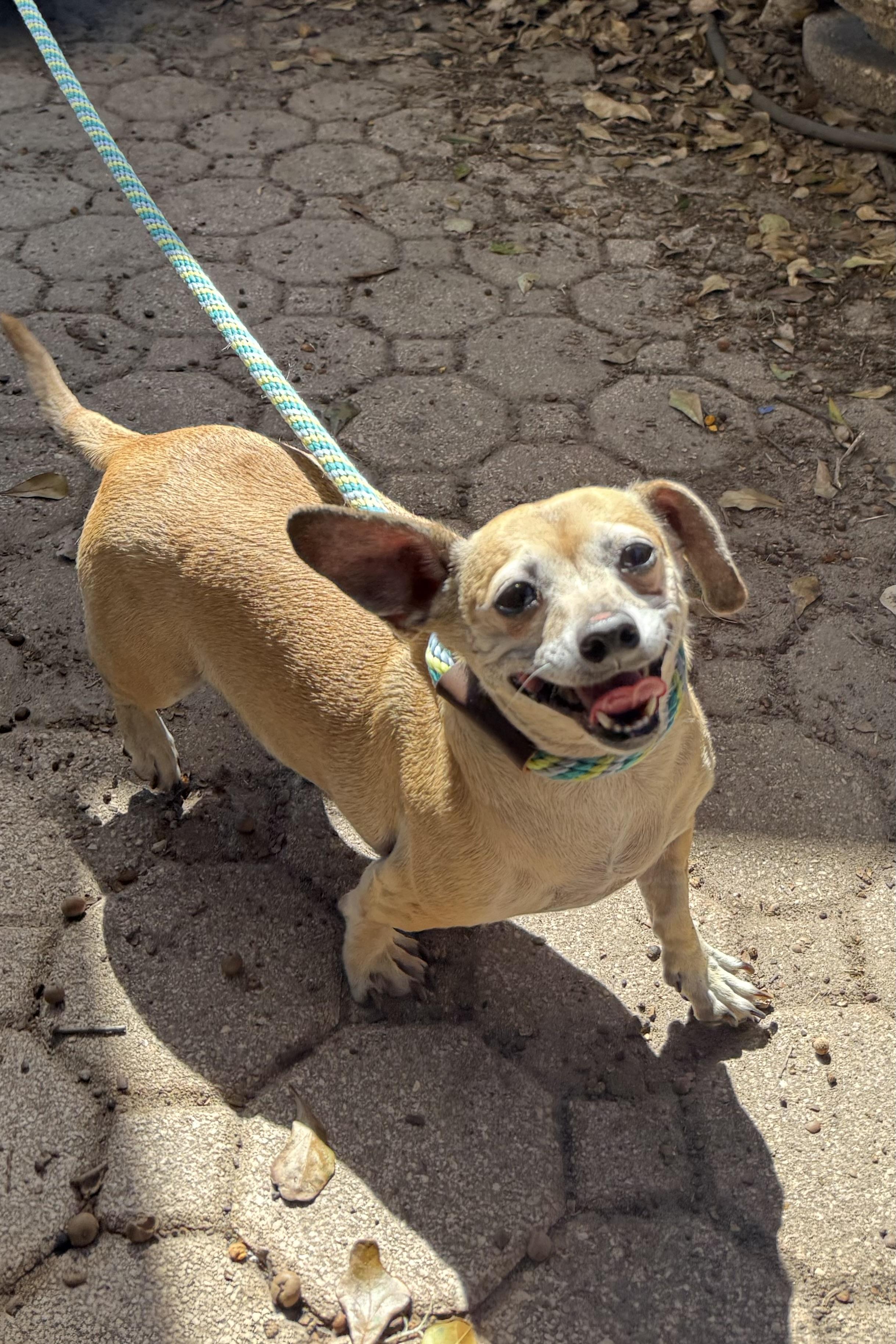 Mia & Gia thumbnail 6