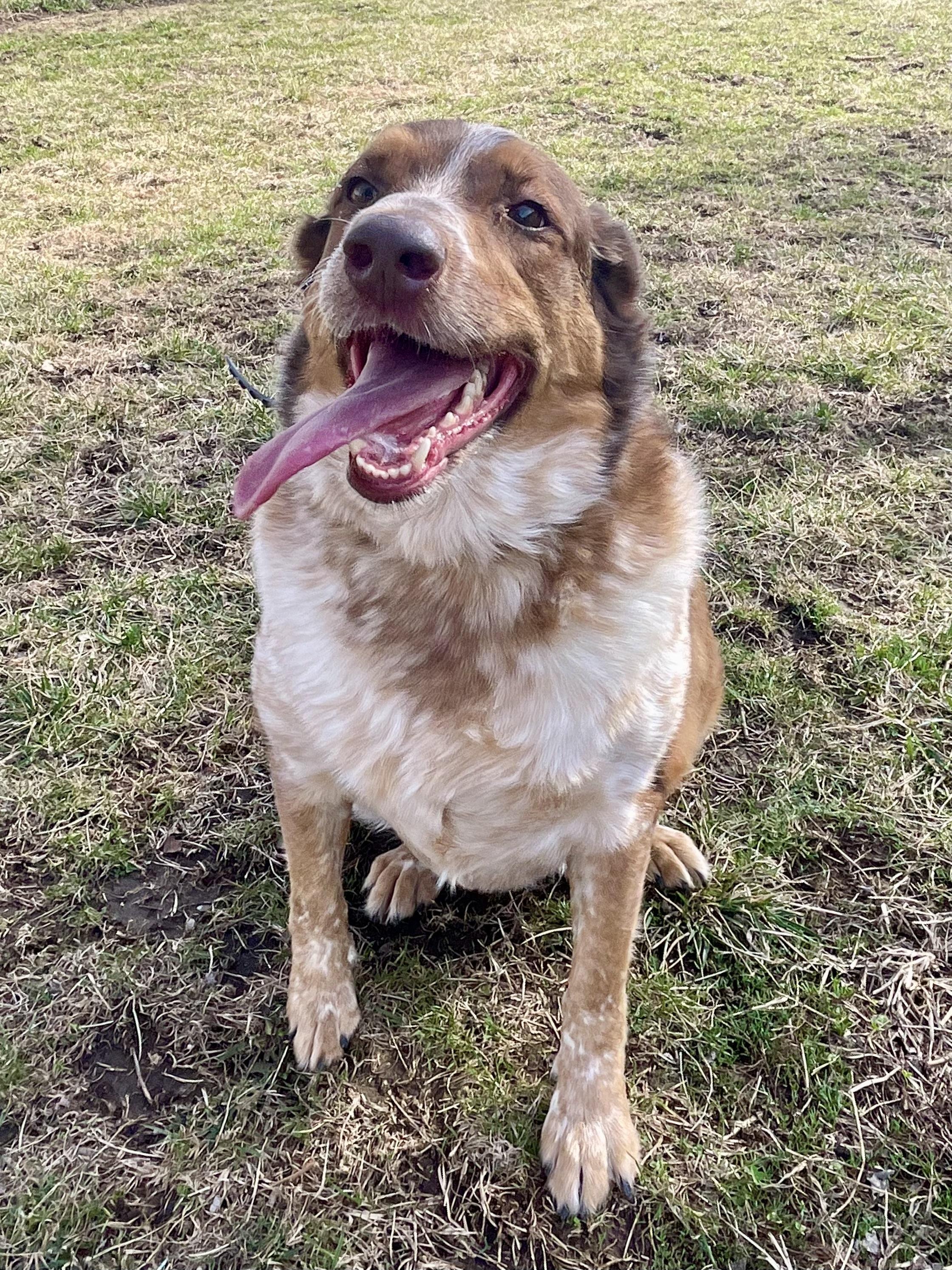 Rocko