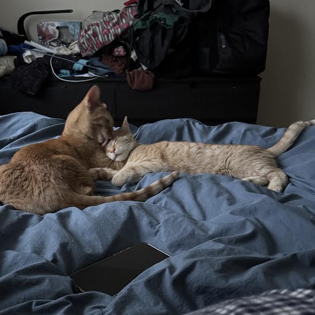 Anya & Kaya — thumbnail 2