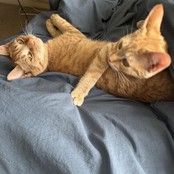 Anya & Kaya — thumbnail 5