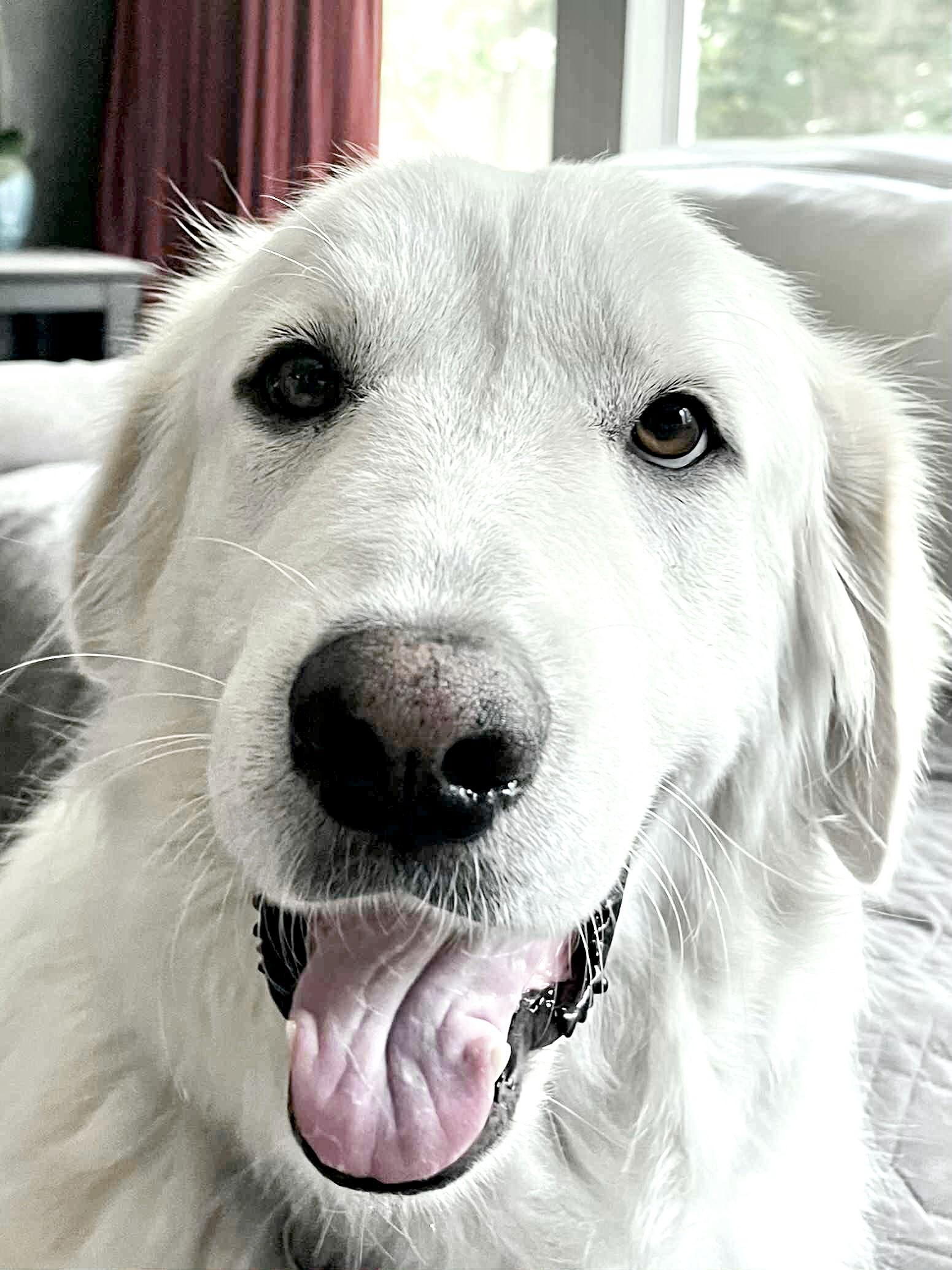 Akira — thumbnail 10