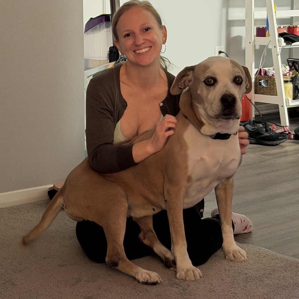 Enlarge Sheba, a Adoptable mixed breed in Reisterstown, MD image 3/5