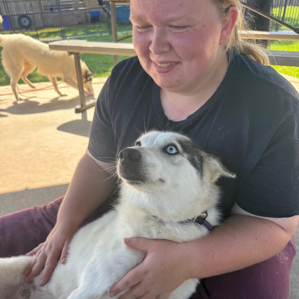 Enlarge Piper, a Adoptable mixed breed in Eufaula, OK image 4/5