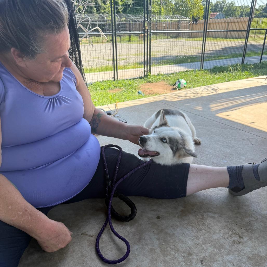 Enlarge Piper, a Adoptable mixed breed in Eufaula, OK image 5/5