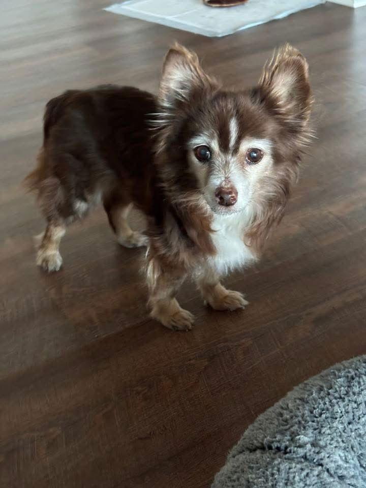 Coco~ — thumbnail 2