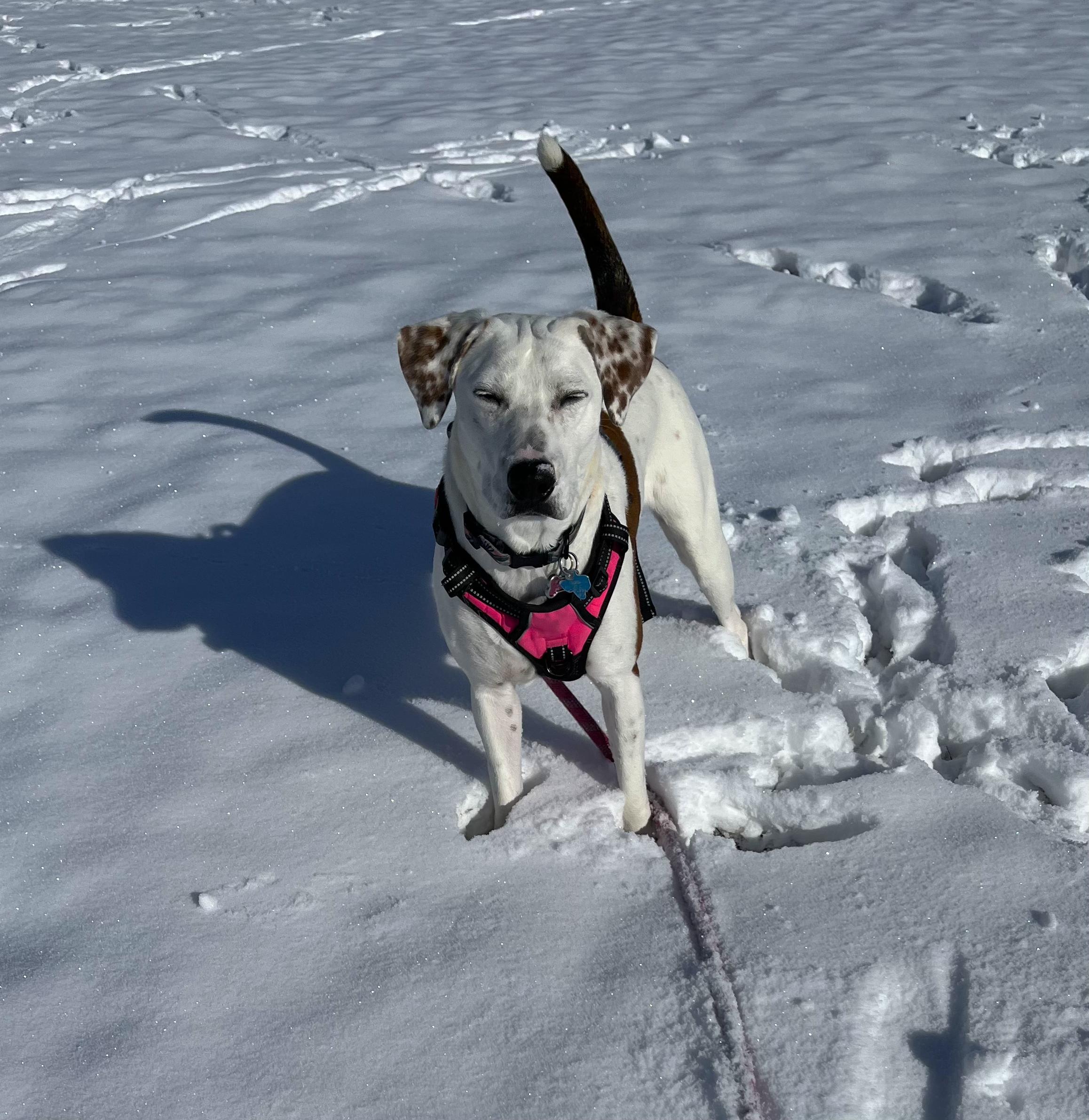 Lucy — thumbnail 5