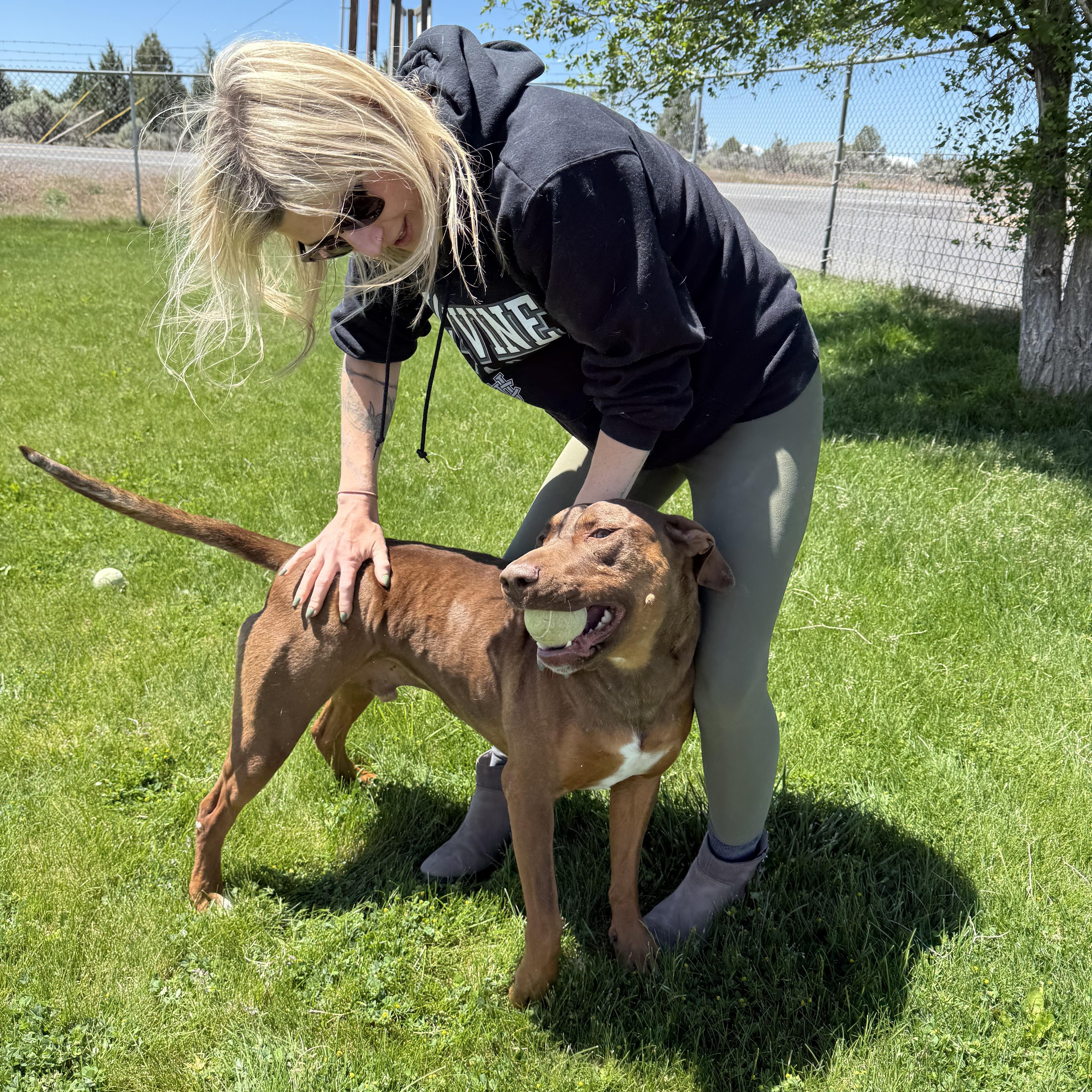 Roofis, a ADOPTABLE mixed breed in Prineville, OR image 3/6