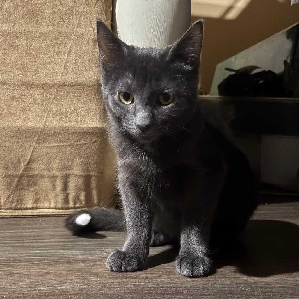 Chapel — thumbnail 3