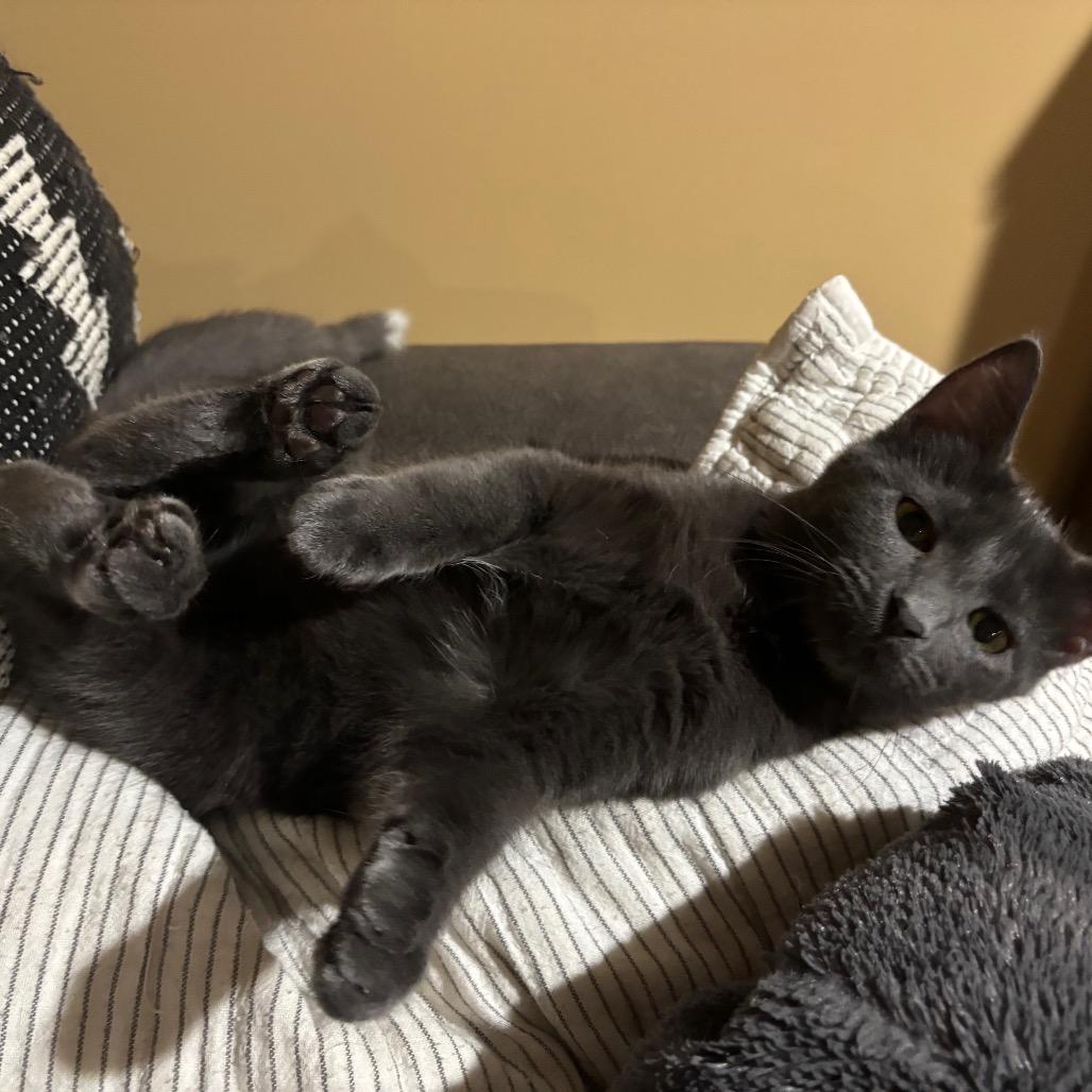 Chapel — thumbnail 4