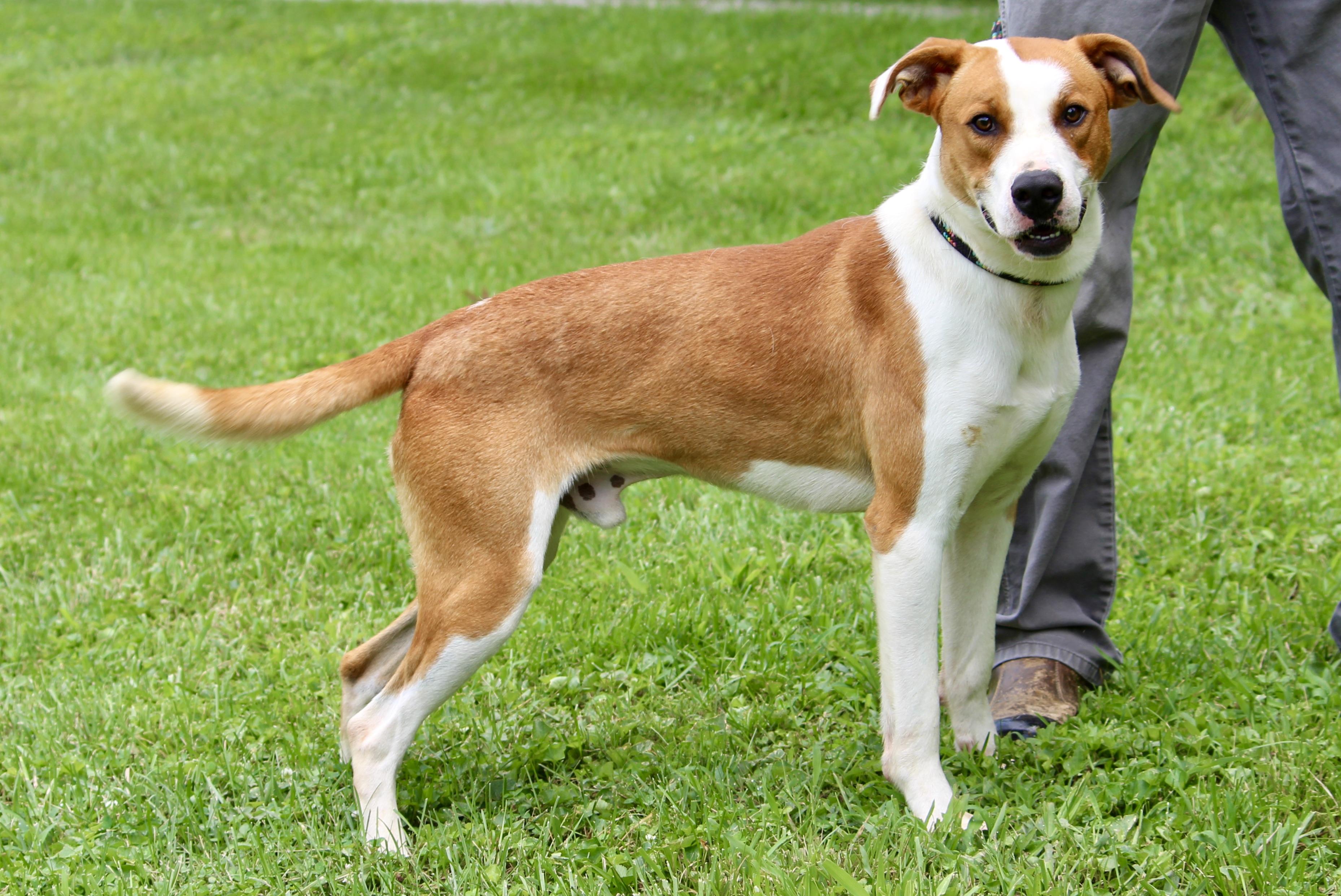 DWIGHT — thumbnail 2