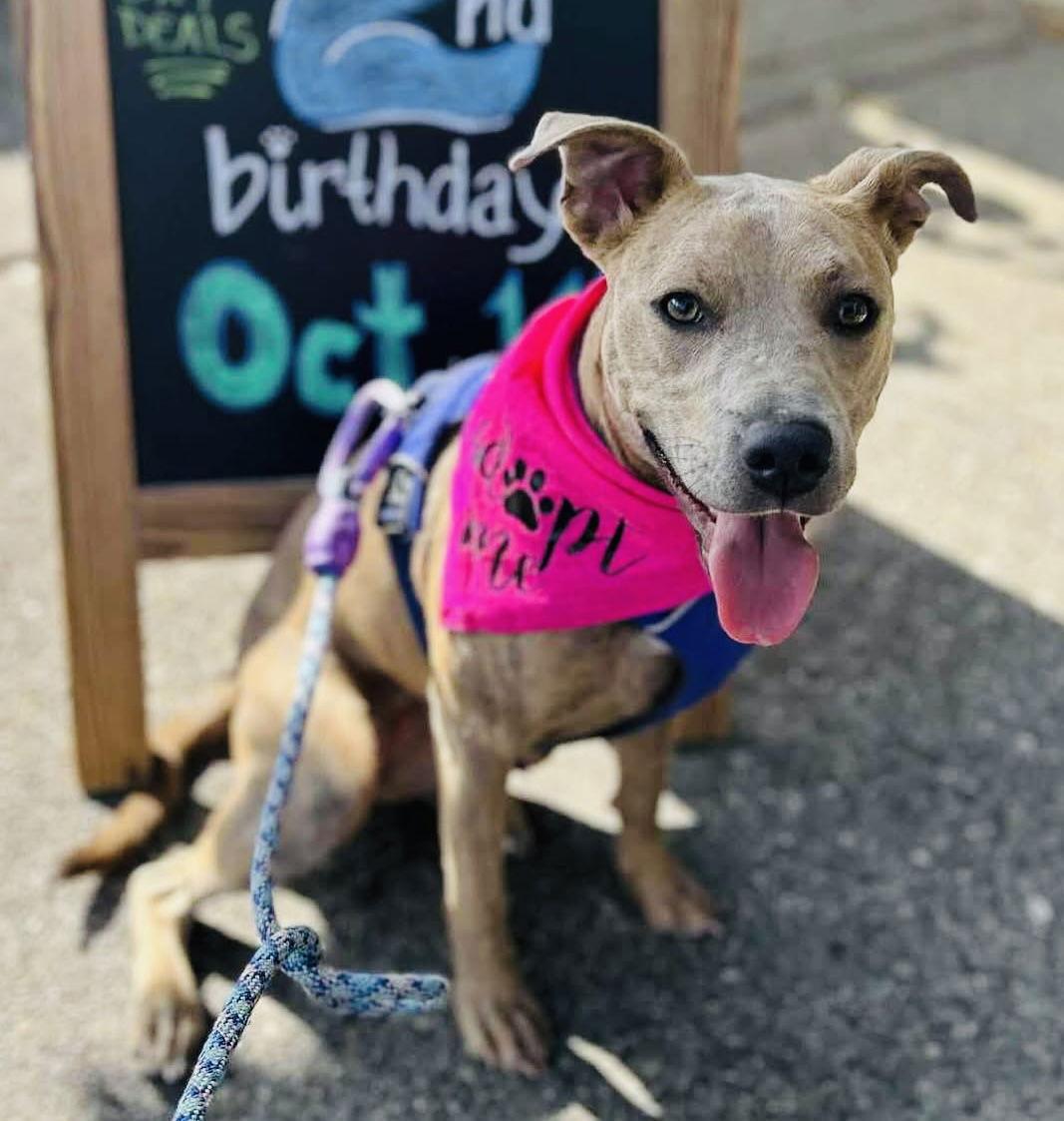 Little Debbie thumbnail 2