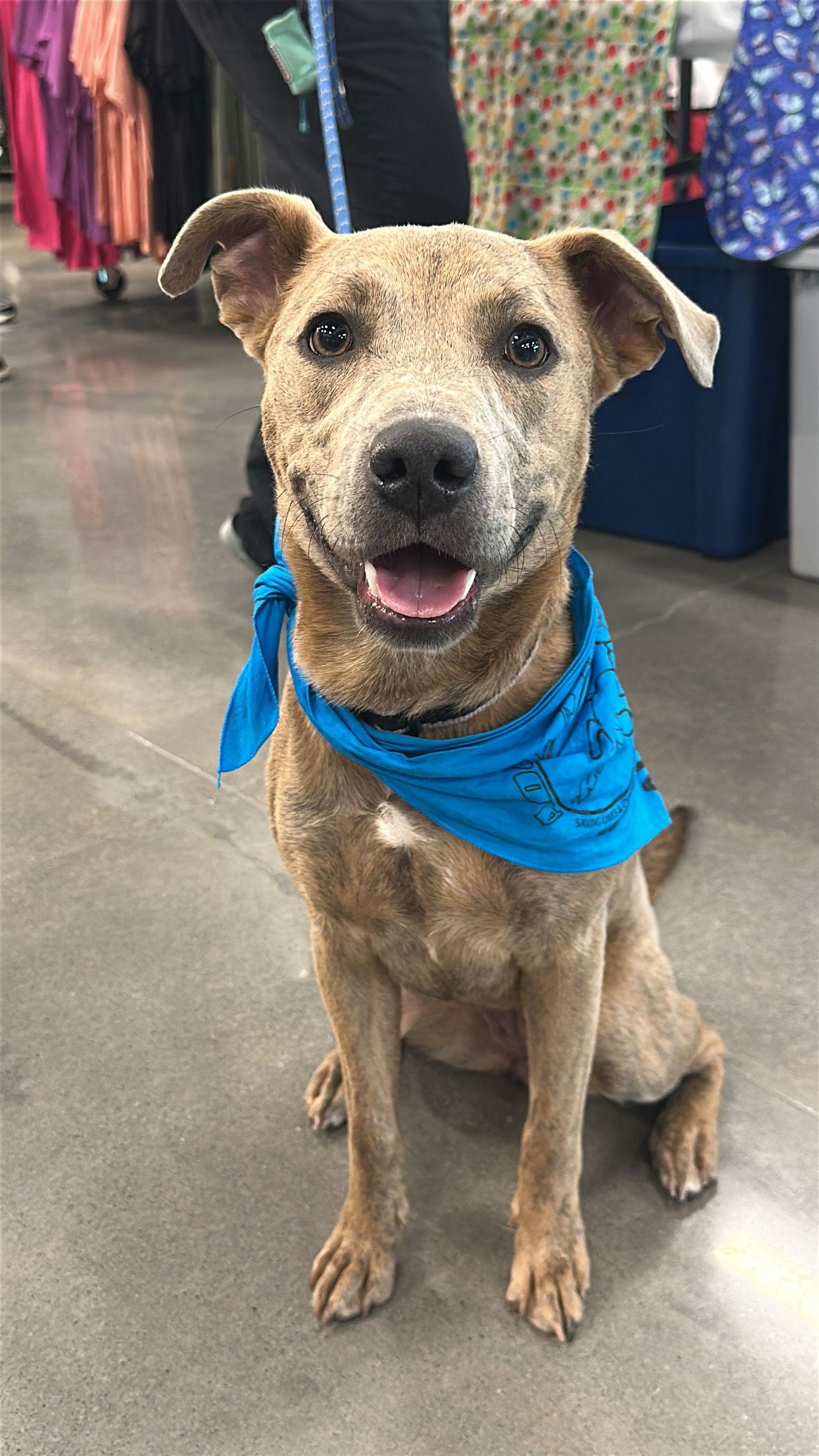 Little Debbie thumbnail 4