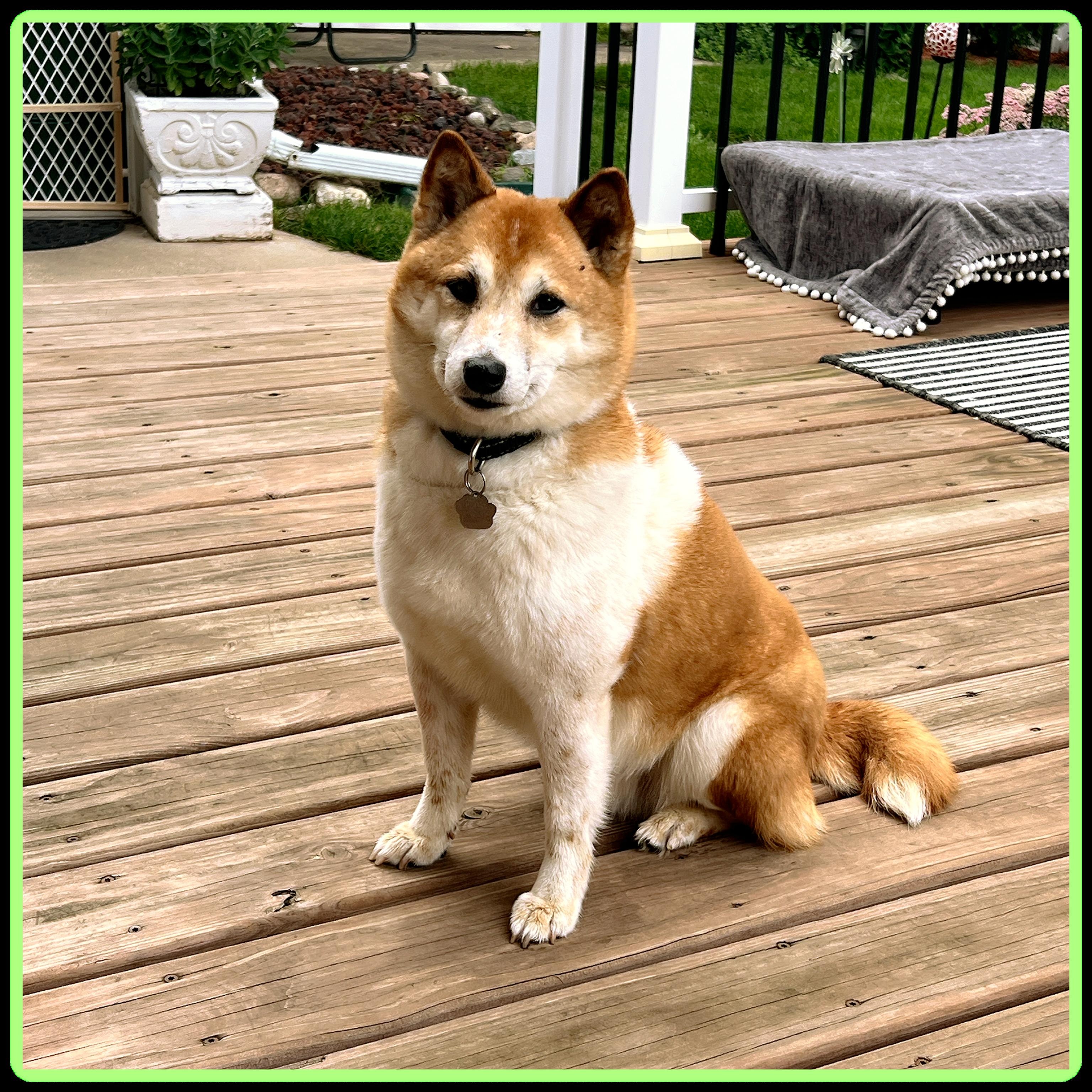 Rosie