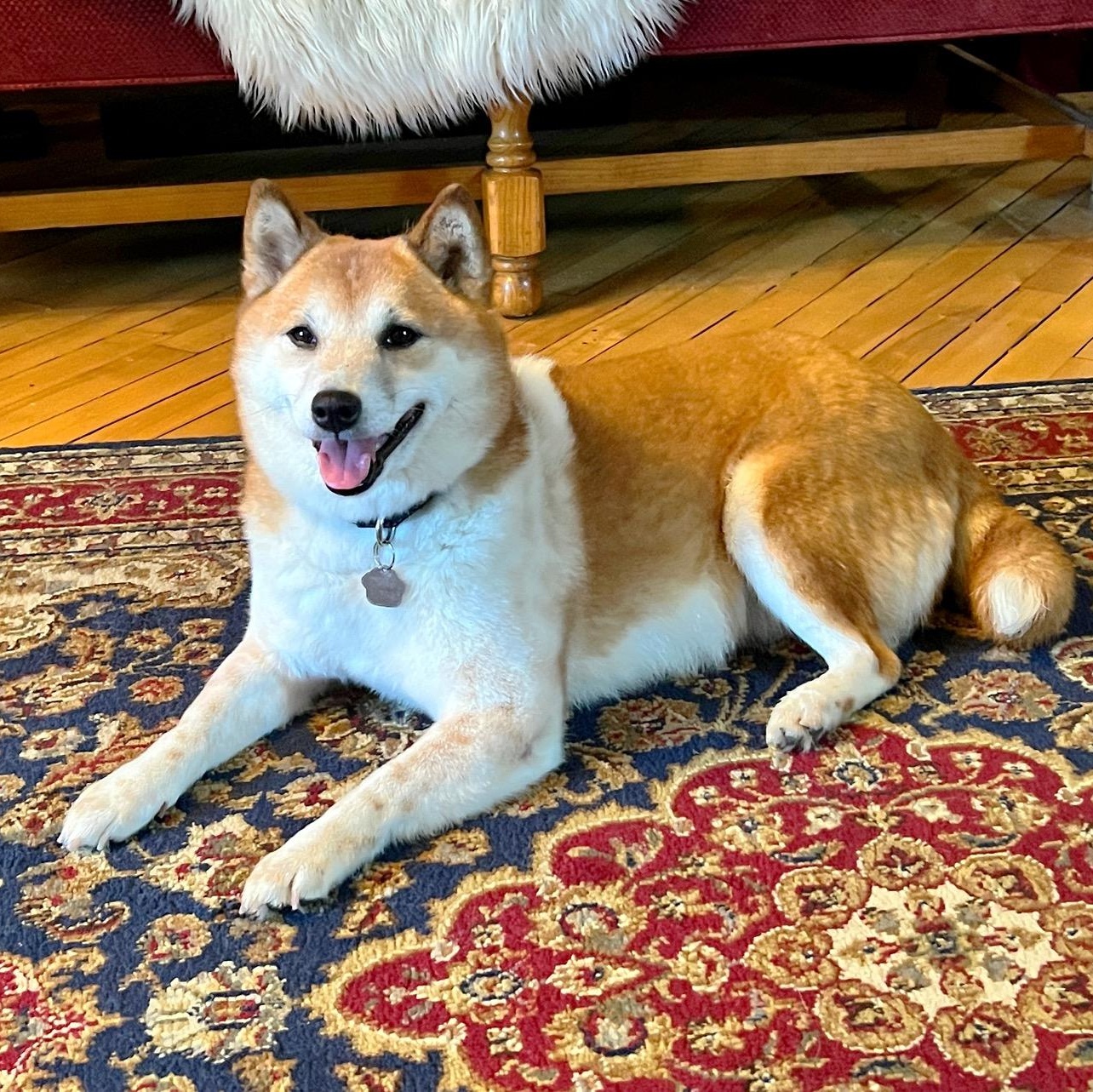 Rosie