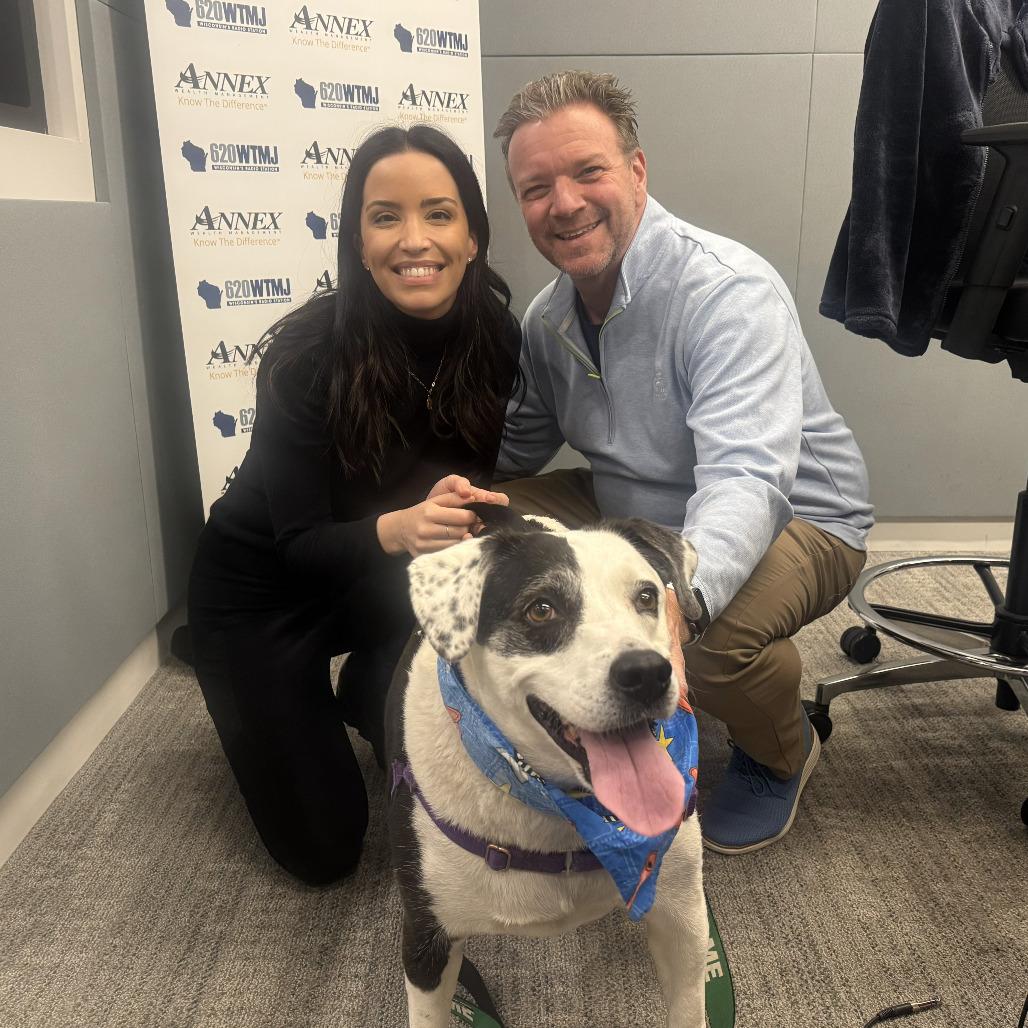 Enlarge Lady, a Adoptable Mixed Breed in Waukesha, WI image 2/3