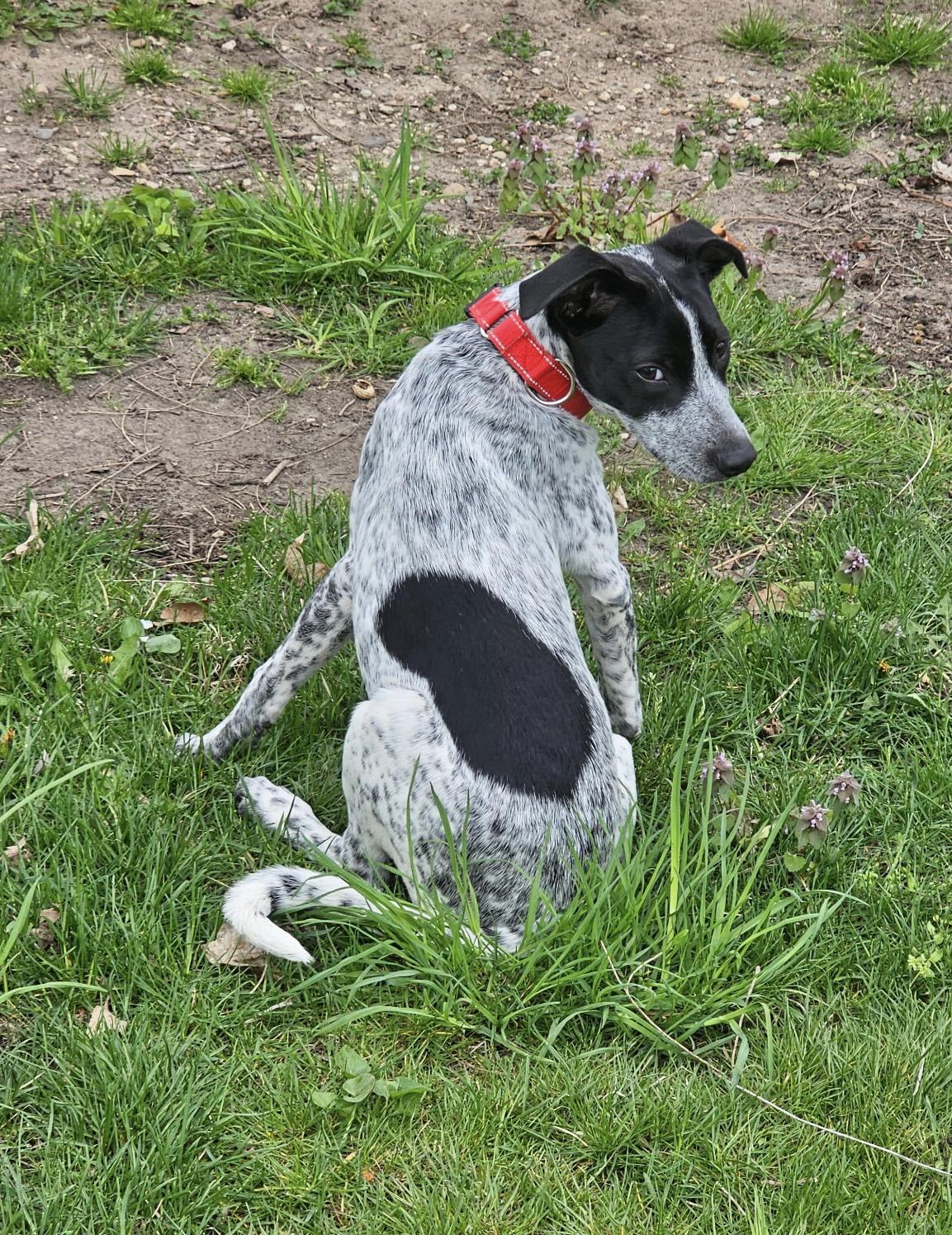 Mazy photo 4