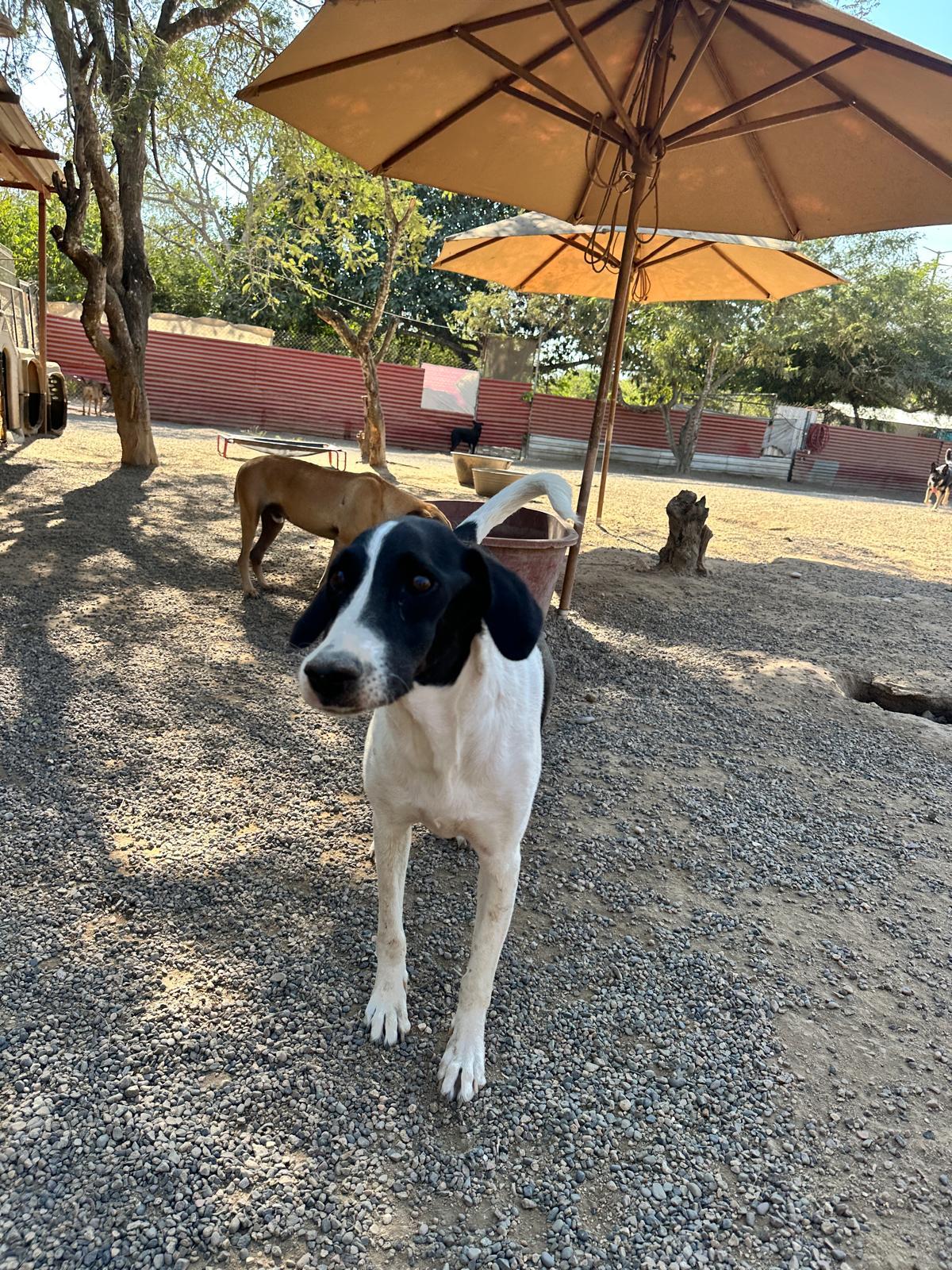 Mildred — thumbnail 3