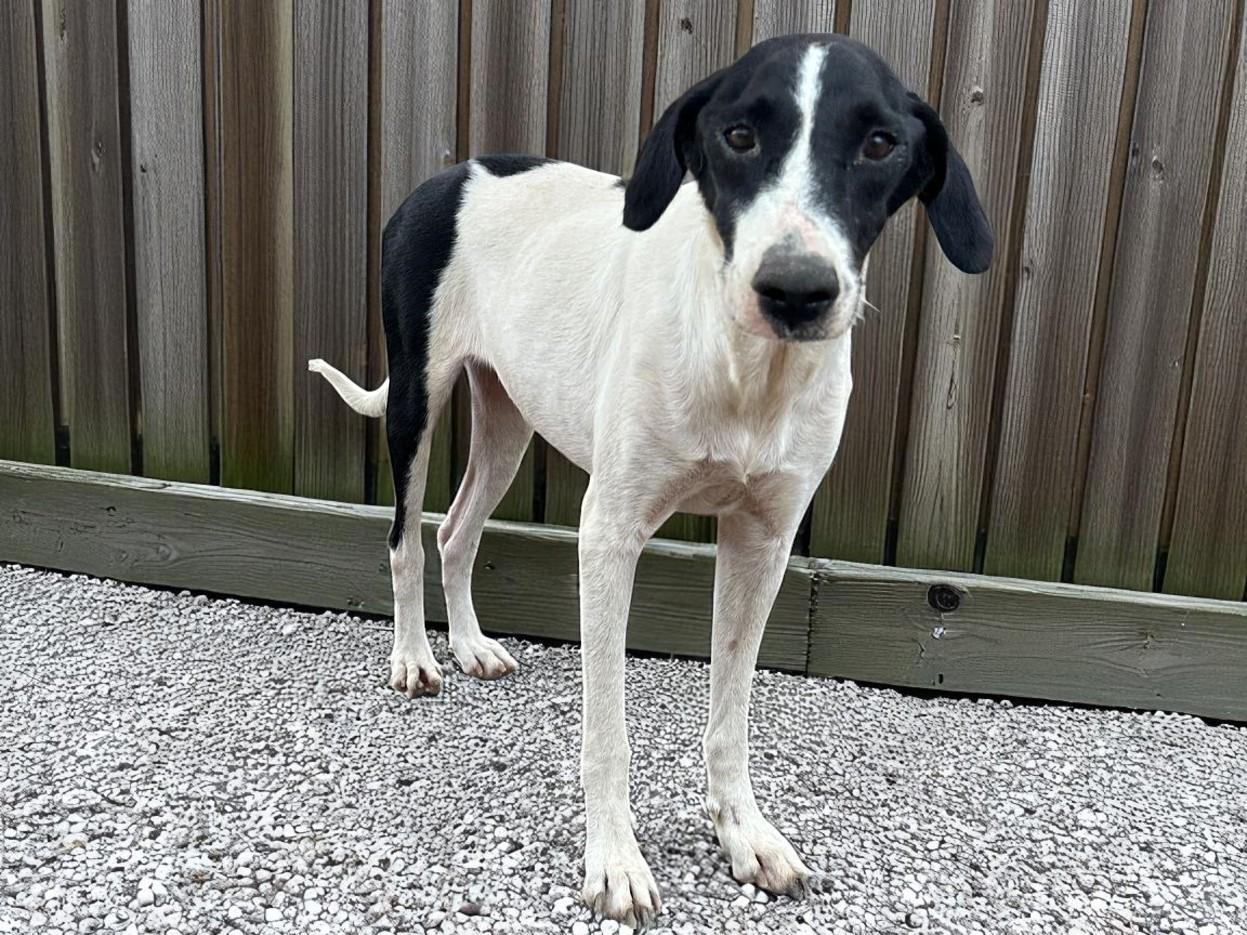 Mildred — thumbnail 5