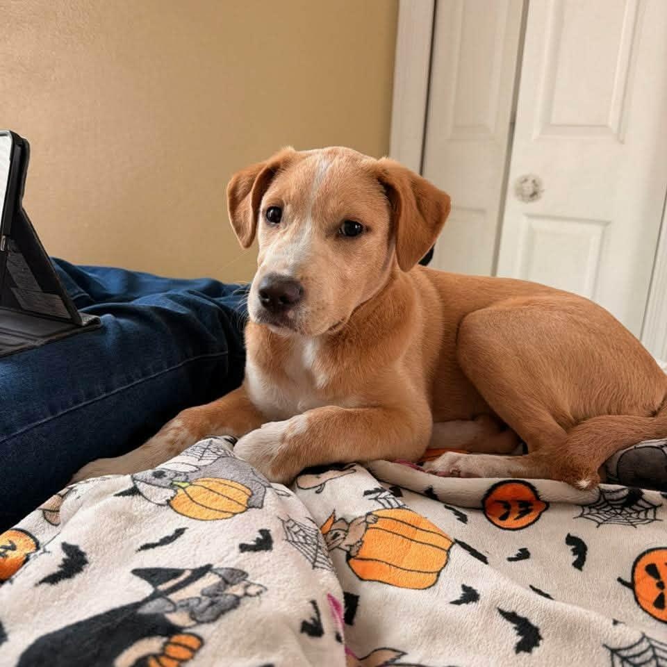 Maggie — thumbnail 2