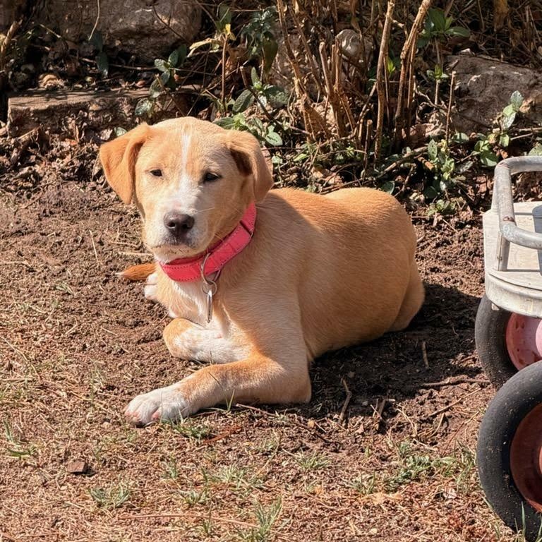 Maggie — thumbnail 5