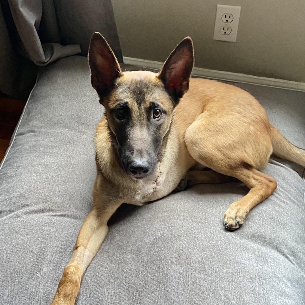 Clyde 22027 — thumbnail 2