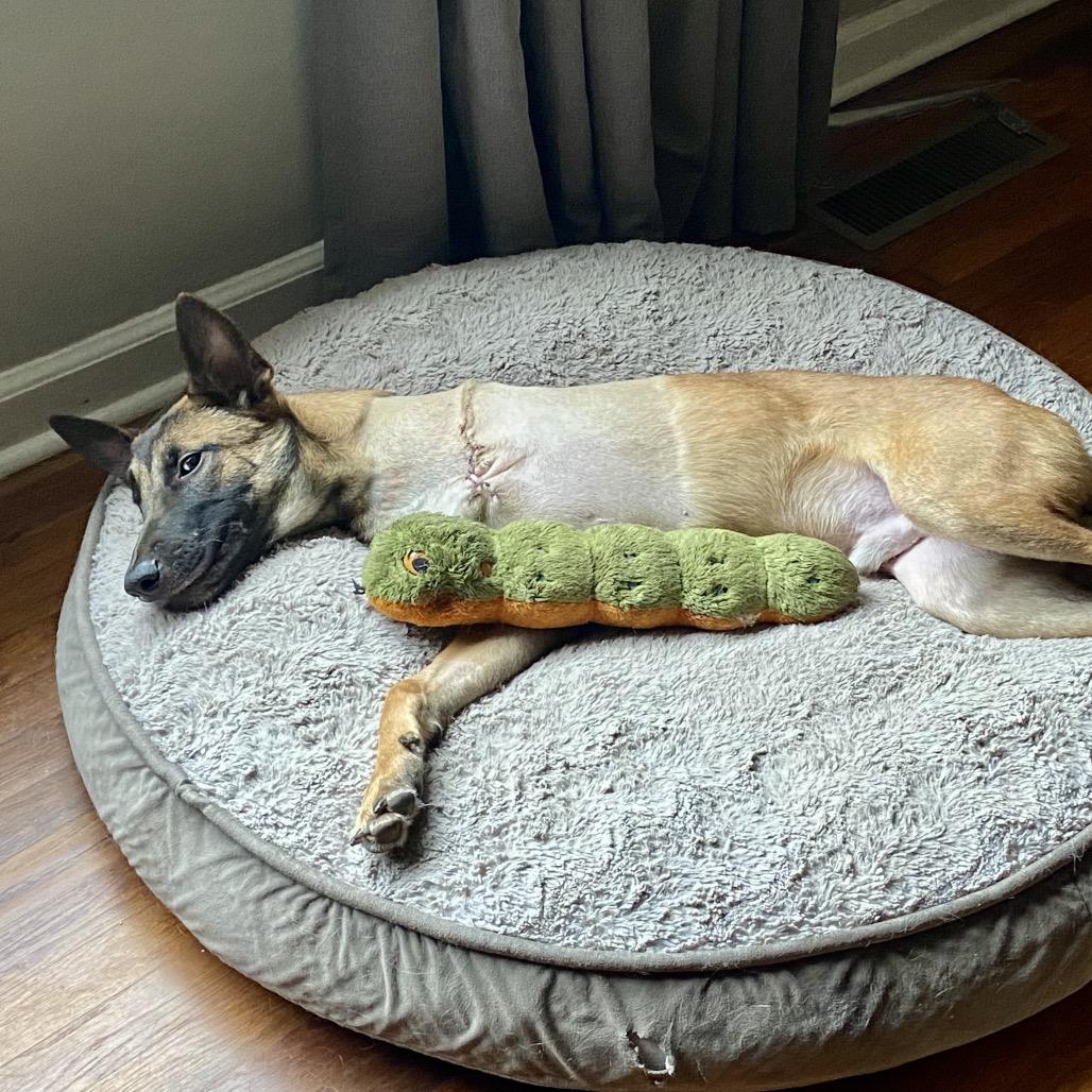 Clyde 22027 — thumbnail 3