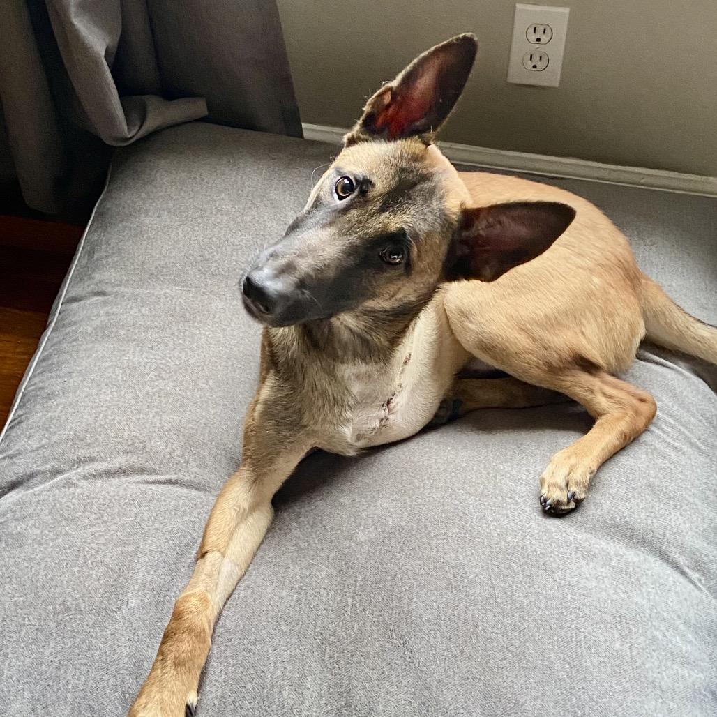 Clyde 22027 — thumbnail 4