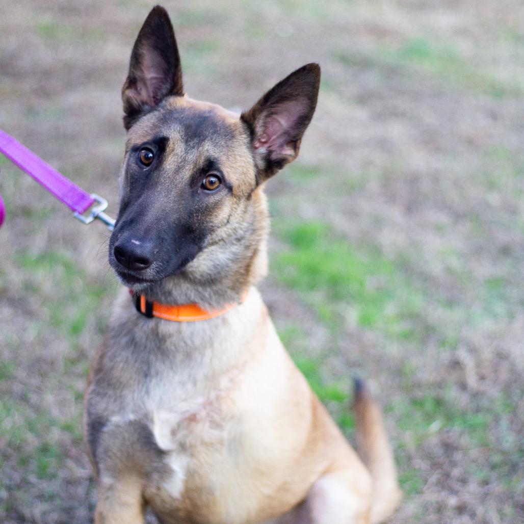 Clyde 22027 — thumbnail 5